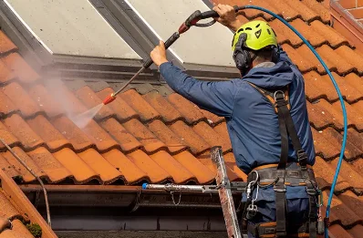 Démoussage et hydrofuge de toiture à Laprugne